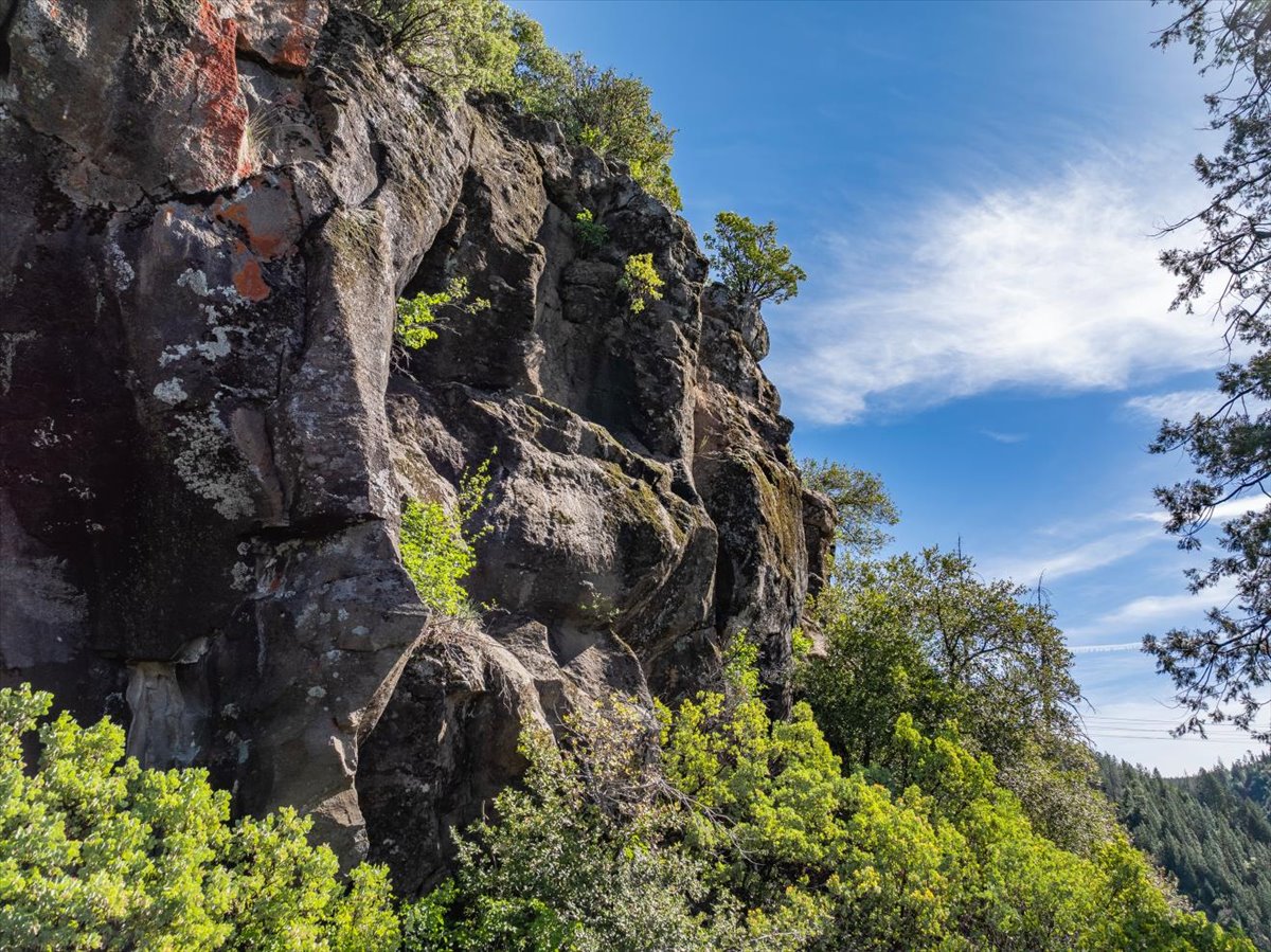 Site Walkthrough Photo